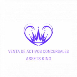 Assets King, SL