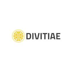 Divitiae